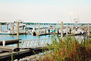 boats